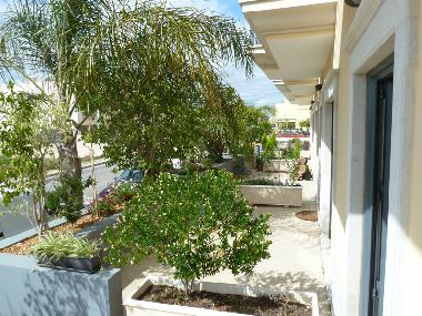 Casa de vacaciones en Albufeira (Algarve)Casa de vacaciones