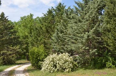 Casa de vacaciones en Dions (Gard)Casa de vacaciones