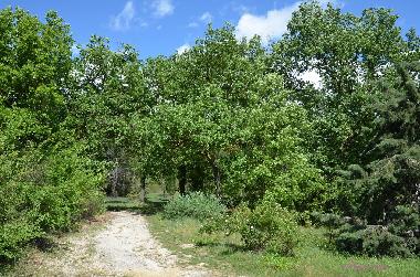 Casa de vacaciones en Dions (Gard)Casa de vacaciones