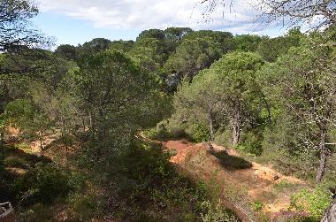 Casa de vacaciones en Dions (Gard)Casa de vacaciones