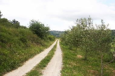 Apartamento de vacaciones en Secovlje (Piran)Casa de vacaciones