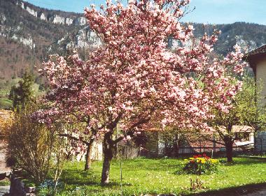 Apartamento de vacaciones en Grandval (La Chaux-de-Fonds)Casa de vacaciones