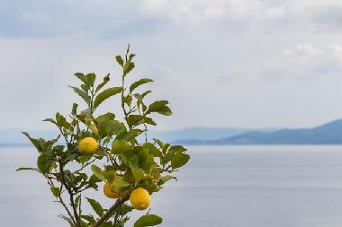 Apartamento de vacaciones en Okrug Gornji (Splitsko-Dalmatinska)Casa de vacaciones