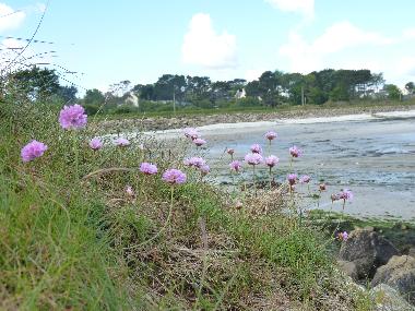Villa en plouguerneau (Finistre)Casa de vacaciones