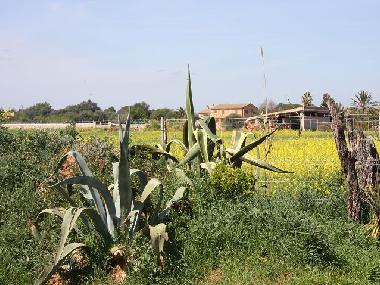 Casa de vacaciones en Campos (Mallorca)Casa de vacaciones