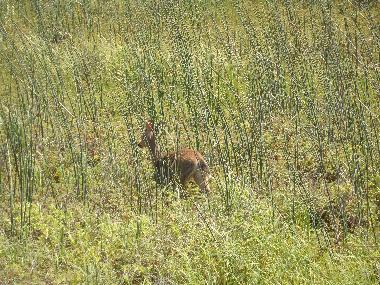 Casa de vacaciones en Rockaway Beach (Oregon)Casa de vacaciones