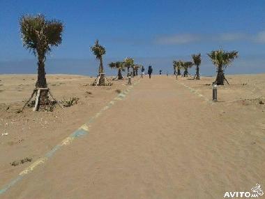 Apartamento de vacaciones en CASABLANCA (Casablanca)Casa de vacaciones