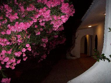Villa en Torre delle stelle (Cagliari)Casa de vacaciones