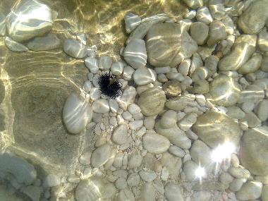 Apartamento de vacaciones en ILIAS (Vlore)Casa de vacaciones