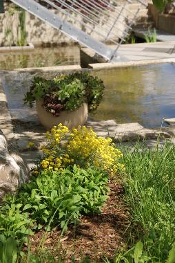 Apartamento de vacaciones en Alf (Mosel - Saar)Casa de vacaciones