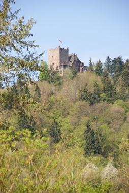 Apartamento de vacaciones en Alf (Mosel - Saar)Casa de vacaciones