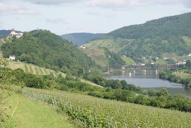 Apartamento de vacaciones en Alf (Mosel - Saar)Casa de vacaciones