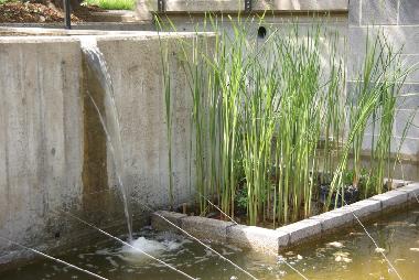 Apartamento de vacaciones en Alf (Mosel - Saar)Casa de vacaciones