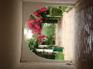 Apartamento de vacaciones en alcossebre (Castell�n / Castell�)Casa de vacaciones