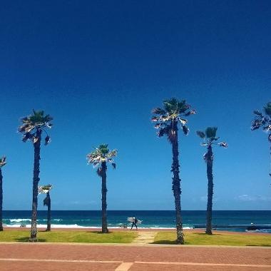 Surf en Las Canteras