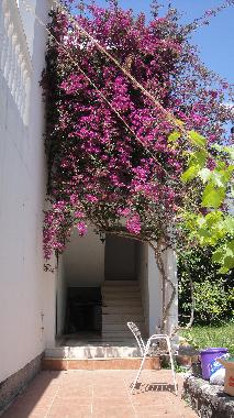 Apartamento de vacaciones en Budva (Montenegro)Casa de vacaciones