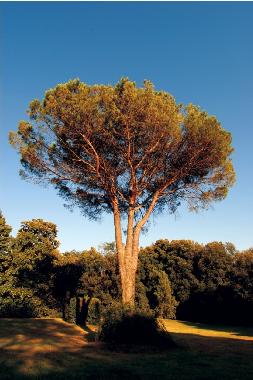 Apartamento de vacaciones en Lucca (Lucca)Casa de vacaciones