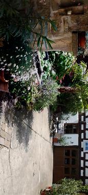 Apartamento de vacaciones en Drrenbach (Pfalz)Casa de vacaciones