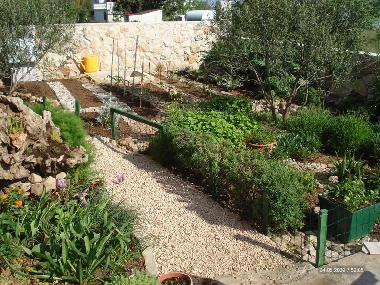 Apartamento de vacaciones en Dobropoljana (Zadarska)Casa de vacaciones