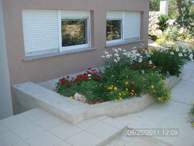 Apartamento de vacaciones en Dobropoljana (Zadarska)Casa de vacaciones