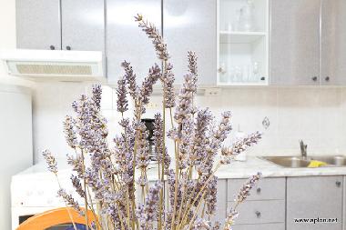 Apartamento de vacaciones en Krk (Primorsko-Goranska)Casa de vacaciones