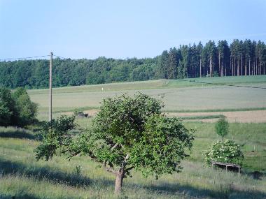 Apartamento de vacaciones en Kommen (Hunsrck - Nahe)Casa de vacaciones