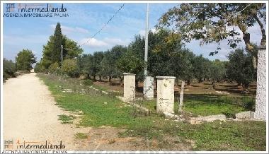 Apartamento de vacaciones en Supersano (Lecce)Casa de vacaciones