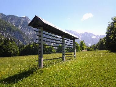 Apartamento de vacaciones en Gorje bei Bled (Bled)Casa de vacaciones