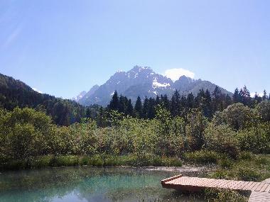 Apartamento de vacaciones en Gorje bei Bled (Bled)Casa de vacaciones