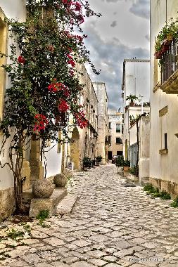 Cama y desayuno en Uggiano La Chiesa (Lecce)Casa de vacaciones