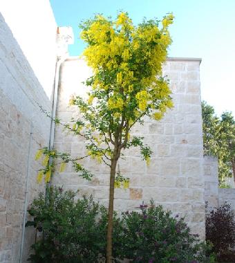 Casa de vacaciones en Alberobello (Bari)Casa de vacaciones