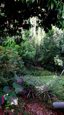 Apartamento de vacaciones en SAINT ESPRIT (Martinique)Casa de vacaciones