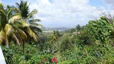 Apartamento de vacaciones en SAINT ESPRIT (Martinique)Casa de vacaciones