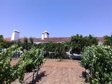 Casa de vacaciones en Redondo (Alto Alentejo)Casa de vacaciones