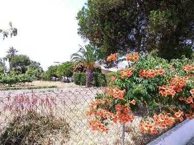 Casa de vacaciones en Redondo (Alto Alentejo)Casa de vacaciones