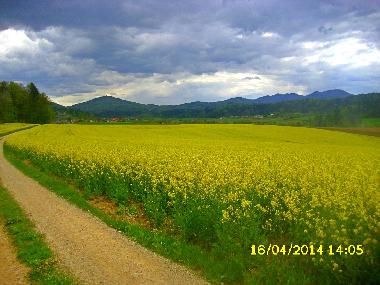 Casa de vacaciones en Ponova vas (Ljubljana)Casa de vacaciones