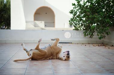 Casa de vacaciones en Djerba (Madanin)Casa de vacaciones