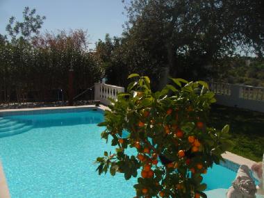 Apartamento de vacaciones en fuseta (Algarve)Casa de vacaciones