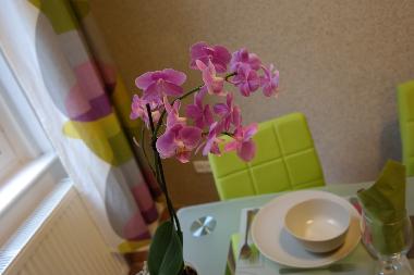 Apartamento de vacaciones en Budapest (Budapest)Casa de vacaciones