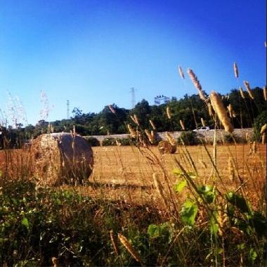 Casa de vacaciones en Cisternino  (Brindisi)Casa de vacaciones