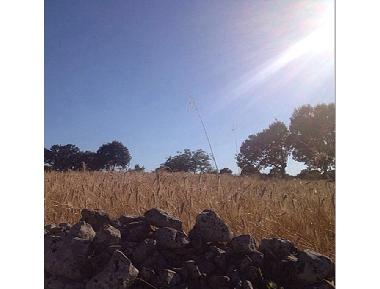 Casa de vacaciones en Cisternino  (Brindisi)Casa de vacaciones