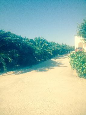 Villa en PAROS (Kyklades)Casa de vacaciones