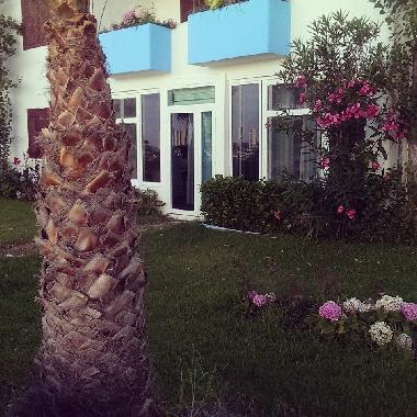 Apartamento de vacaciones en Tetouan (Tetouan)Casa de vacaciones