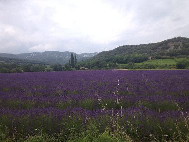 Casa de vacaciones en Gras (Ardche)Casa de vacaciones