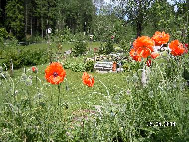 Apartamento de vacaciones en Wei�enstadt (Oberfranken)Casa de vacaciones