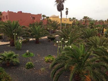 Apartamento de vacaciones en Corralejo (Fuerteventura)Casa de vacaciones