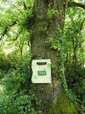 Casa de vacaciones en Ngrepelisse (Tarn-et-Garonne)Casa de vacaciones