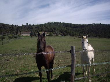 Apartamento de vacaciones en aups (Var)Casa de vacaciones