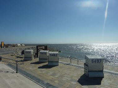 Apartamento de vacaciones en Bsum (Nordsee-Festland)Casa de vacaciones