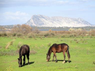 Casa de vacaciones en San Teodoro (Olbia-Tempio)Casa de vacaciones